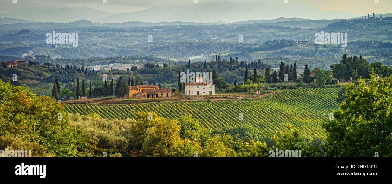 tuscany, viticulture, tuscanies, viticultures Stock Photo