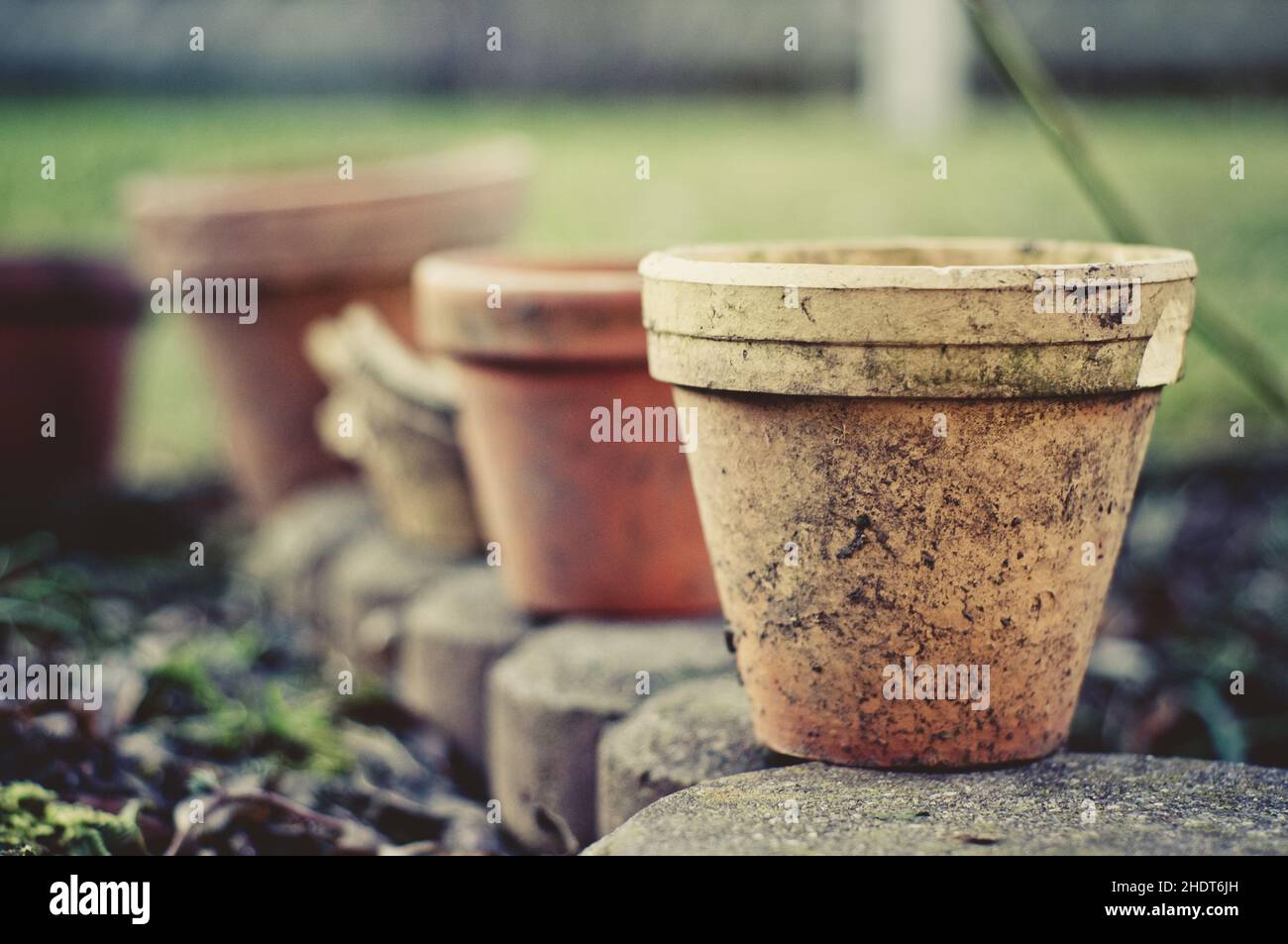 flower pot, flower pots Stock Photo