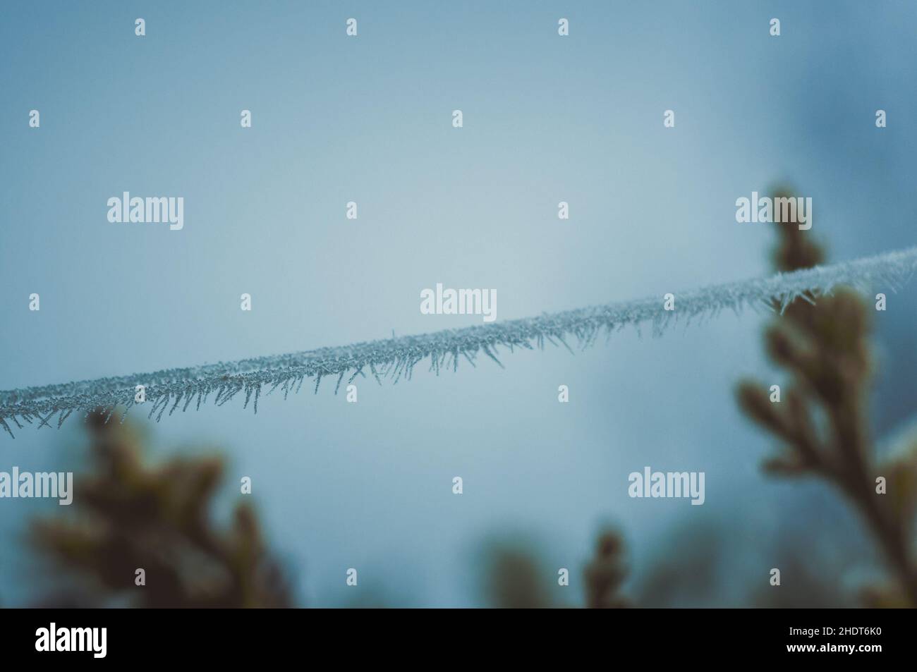 winter, frost, ice crystal, winters, frosts, ice crystals Stock Photo