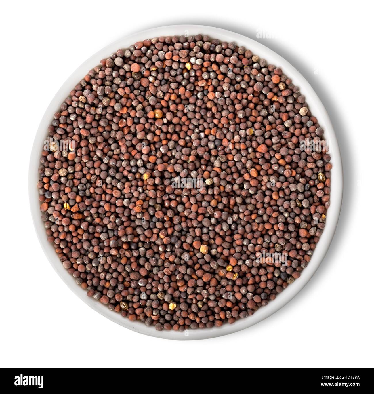 Mustard Seeds Facts, Health Benefits Nutritional Value