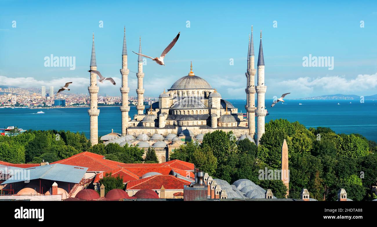 sultan ahmed mosque, sultan ahmed mosques Stock Photo - Alamy