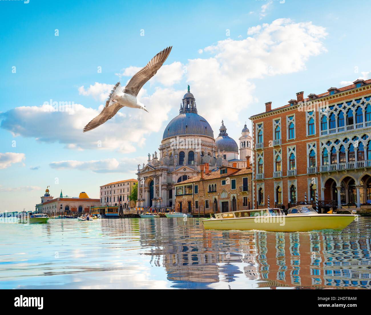 Venice canal grande venices hi-res stock photography and images - Alamy