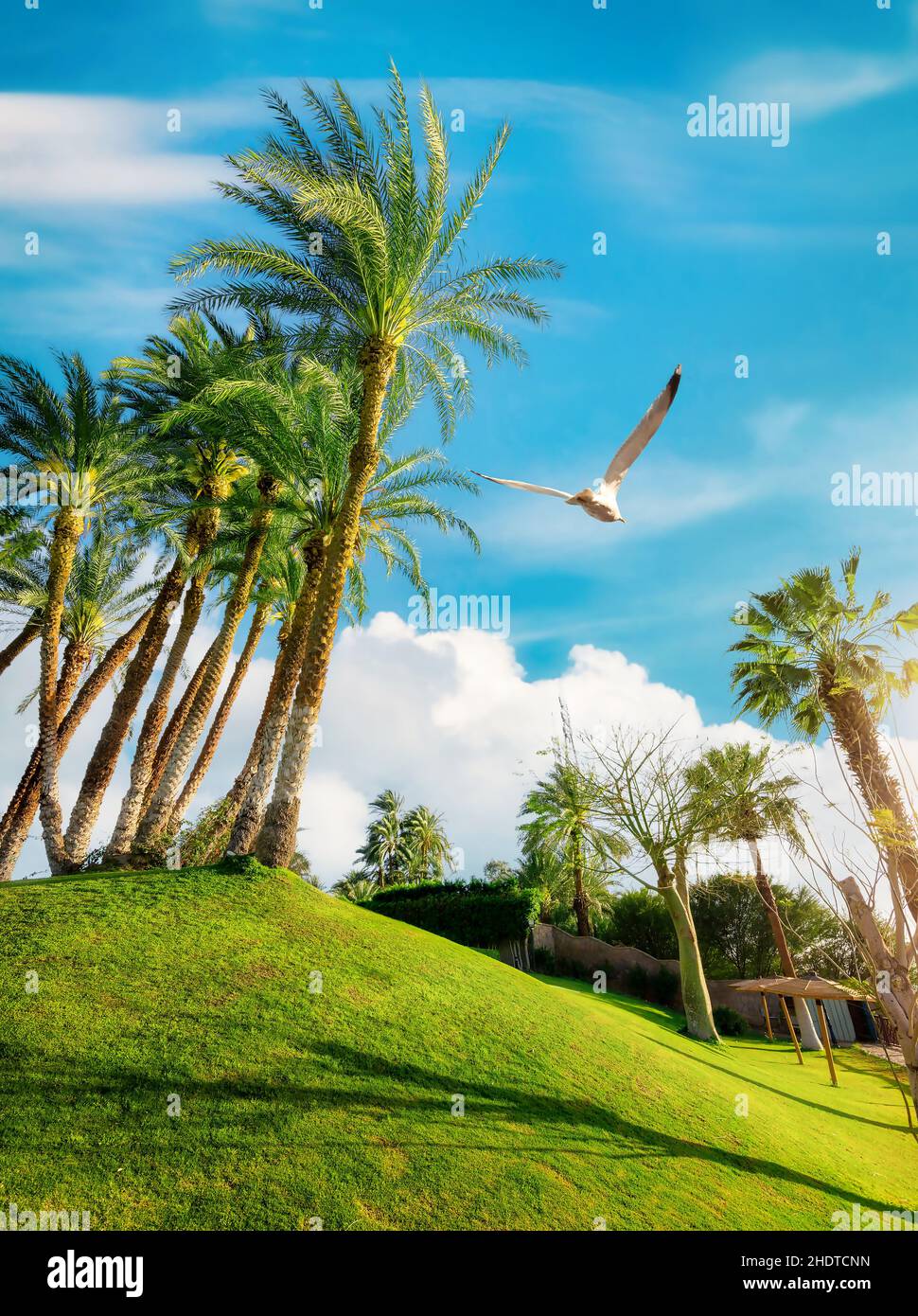 egypt, resort, egyptian, egypts, resorts Stock Photo - Alamy