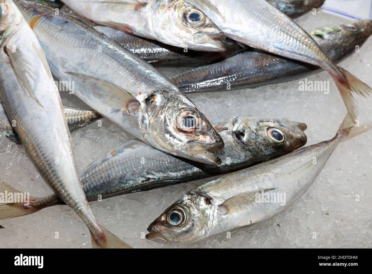 sardines, prepared fish, prepared fishs Stock Photo Alamy