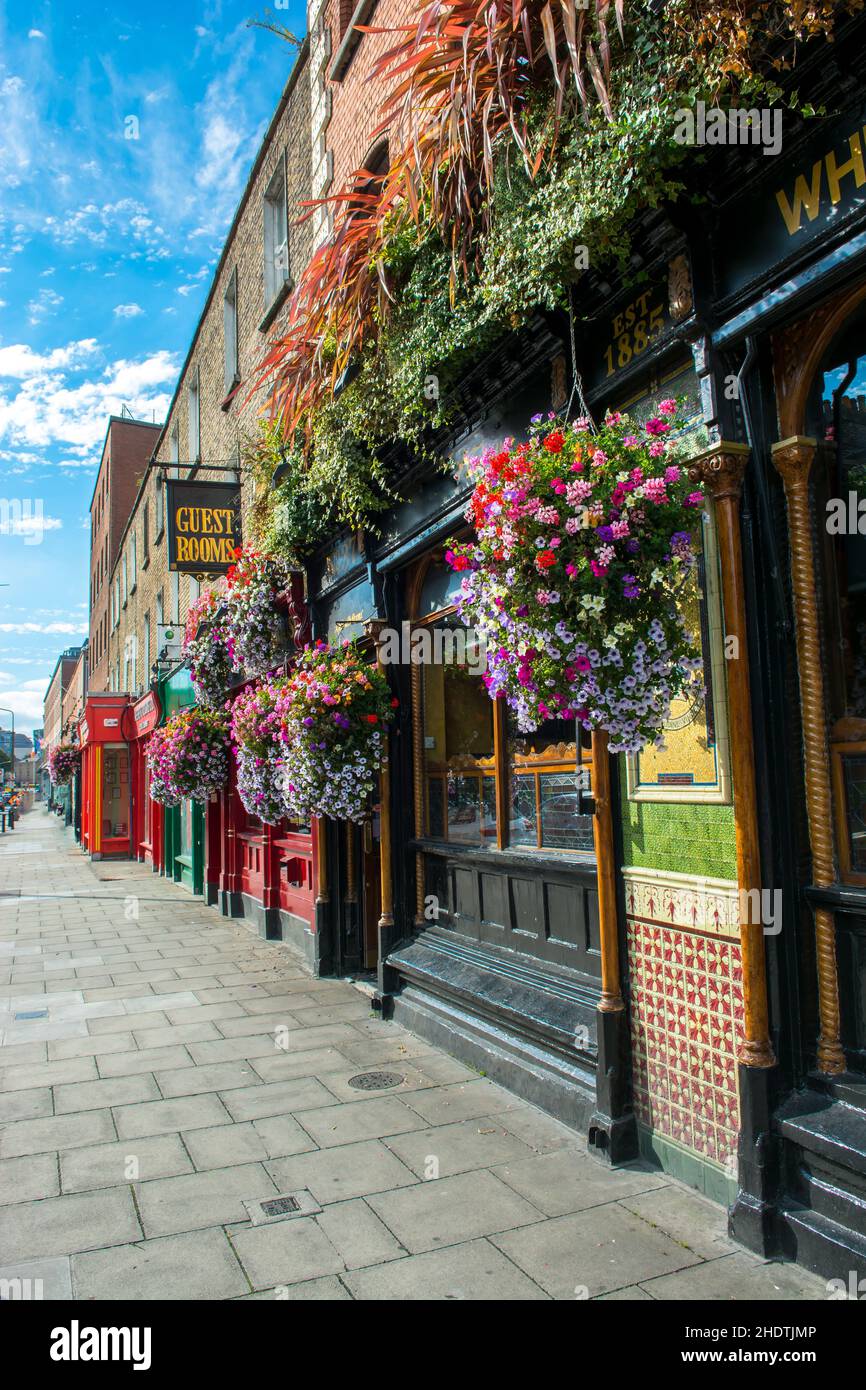 city centre, flower arrangement, dublin, city centres, flower arrangements, dublins Stock Photo