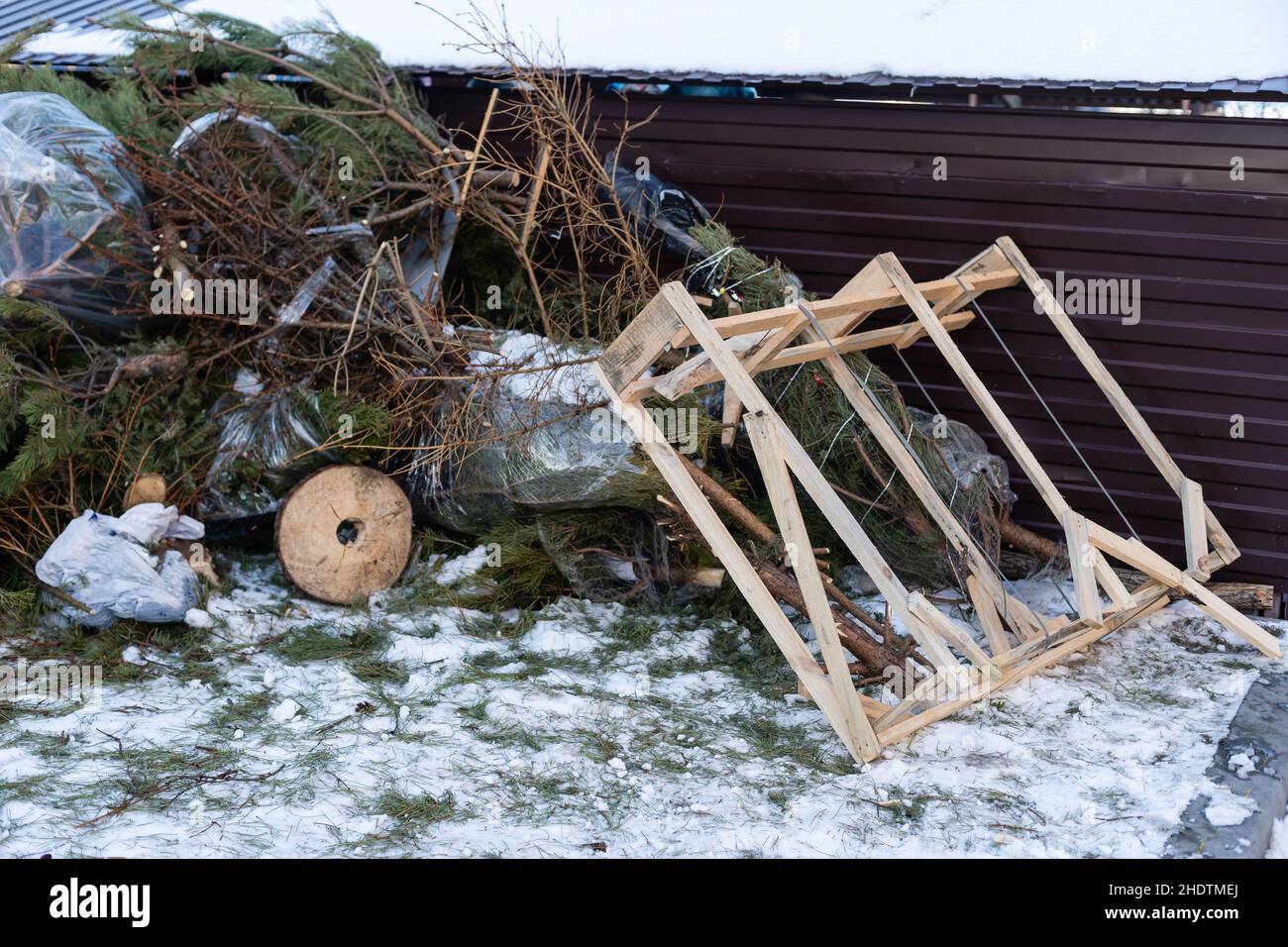 Christmas tree on the trash after the celebration of the new year. Used