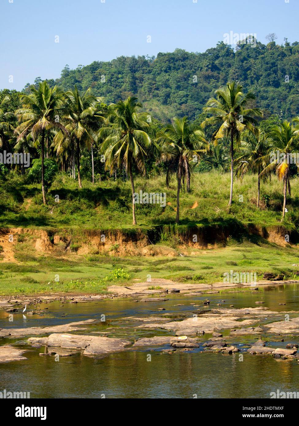 tropical, sri lanka, tropicals, sri lankas Stock Photo - Alamy