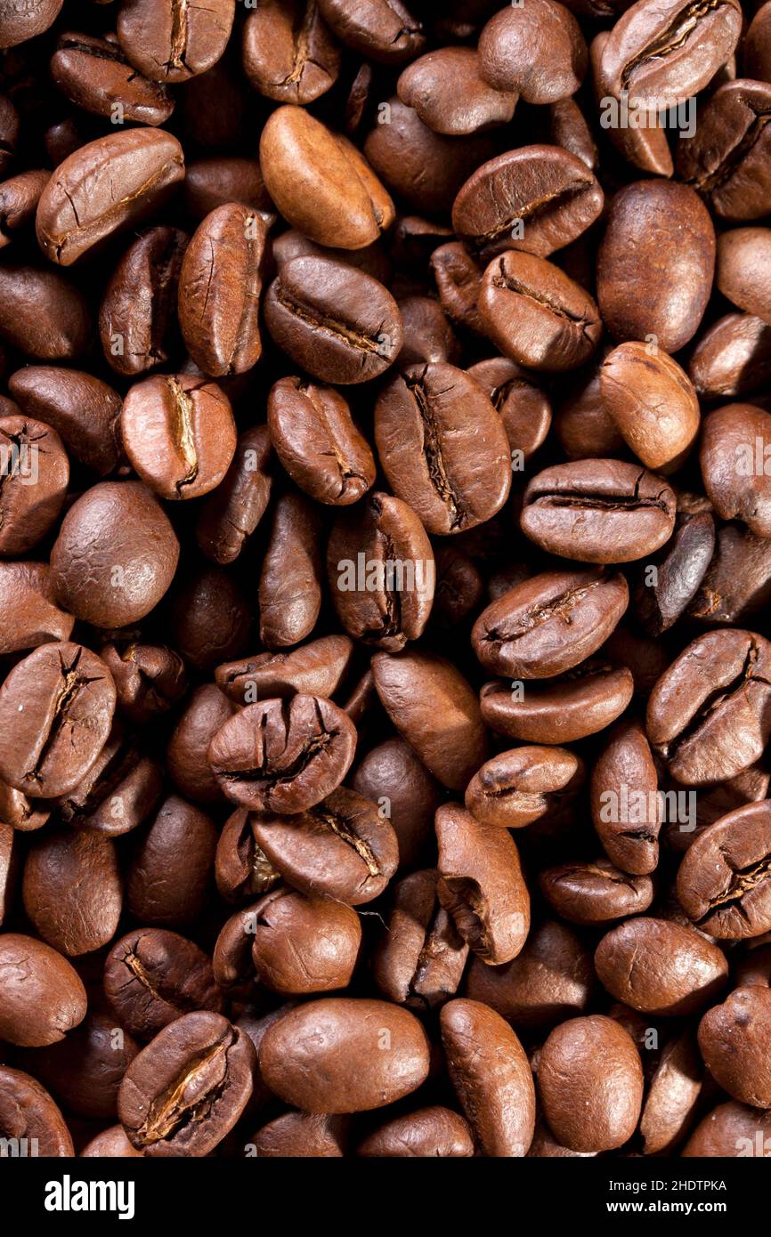 coffee, coffee bean, coffees, coffee beans Stock Photo