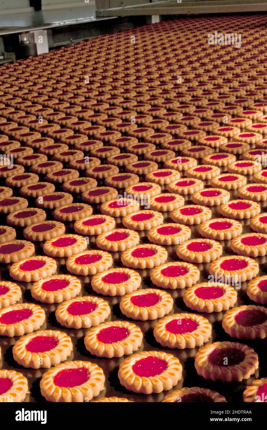 biscuits, production, bakery, manufacturing, food production, biscuit