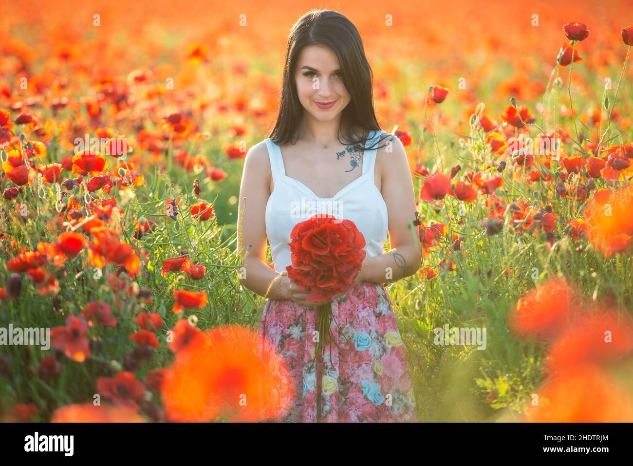 beautiful girl in a poppy field at sunset Stock Photo - Alamy