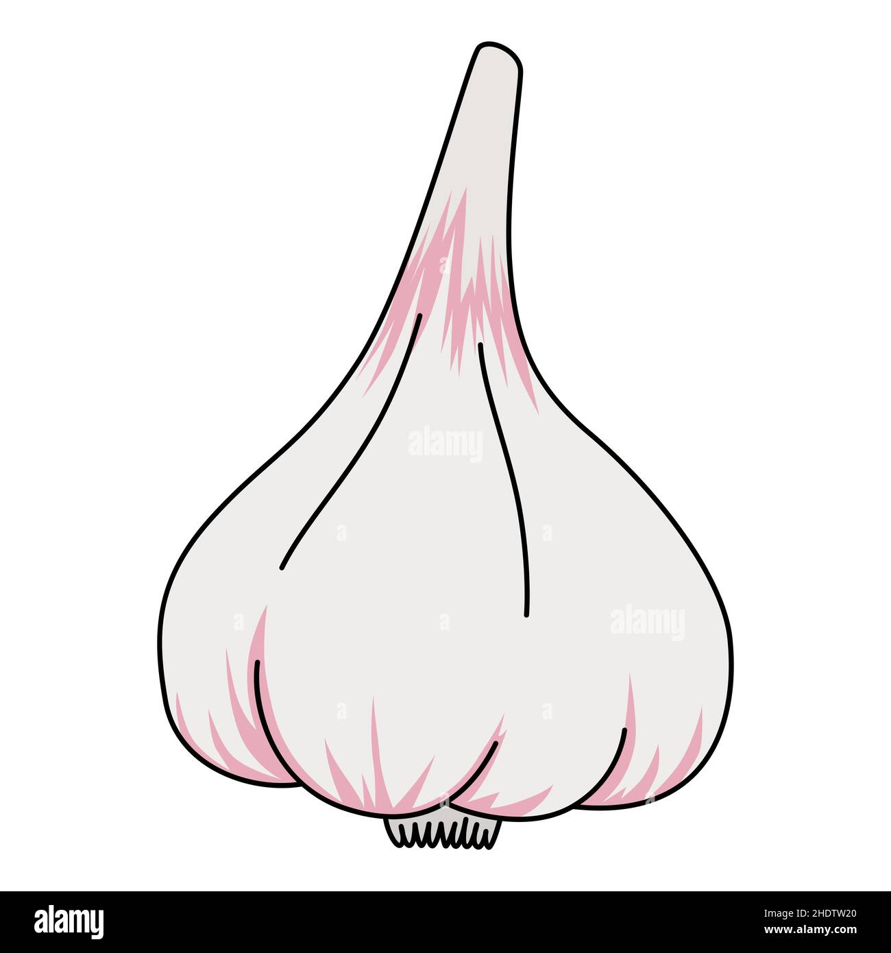 Cartoon bulb of garlic. Vector illustration isolated on white background. Healthy organic vegan food. Proper nutrition Stock Vector