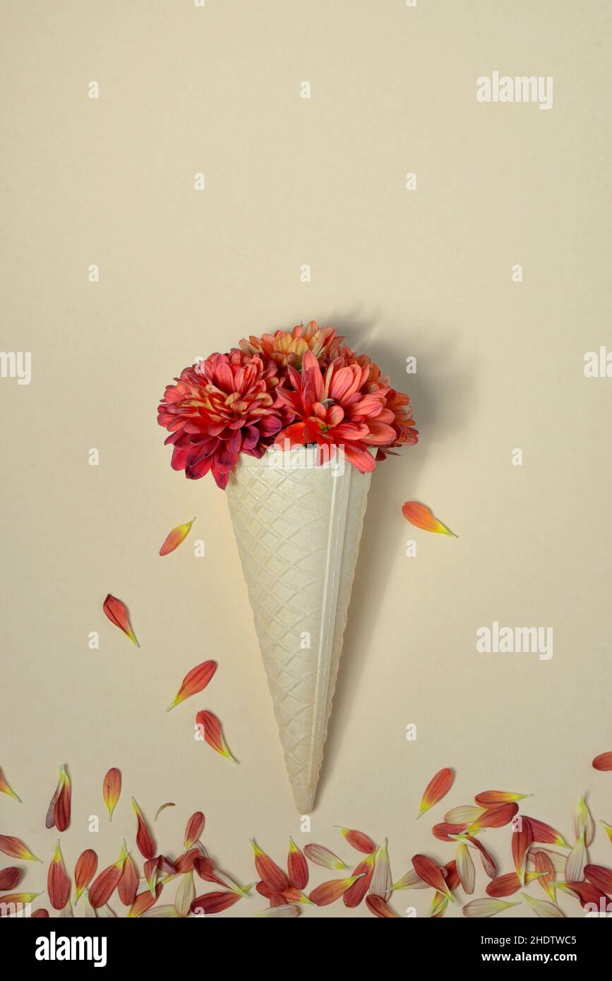 flowers, ice cream cone, flower, flower valentain, ice cream cones, ice