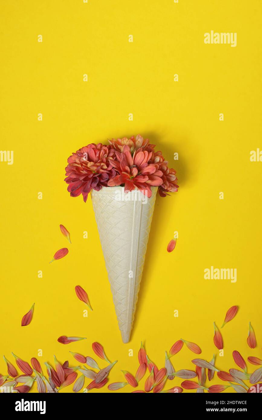 flowers, ice cream cone, flower, flower valentain, ice cream cones, ice