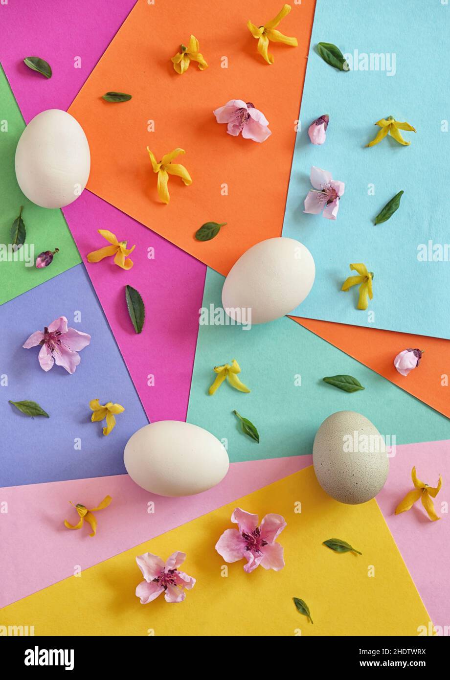 multi colored, floral, easter time, multi coloreds, florals, easters Stock Photo