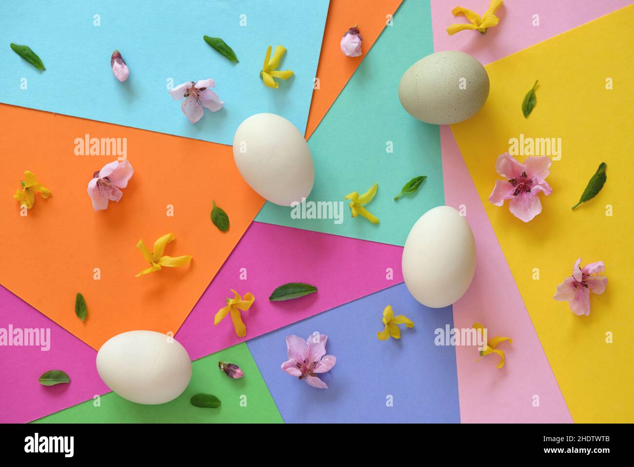 multi colored, floral, easter time, multi coloreds, florals, easters Stock Photo
