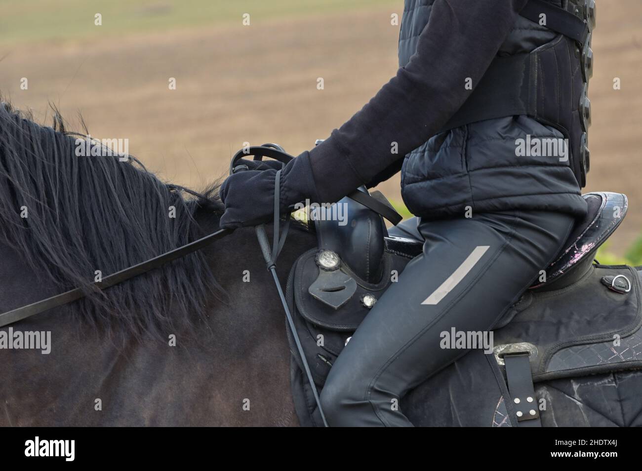 rider, saddle, rein, riders, saddles, reins Stock Photo