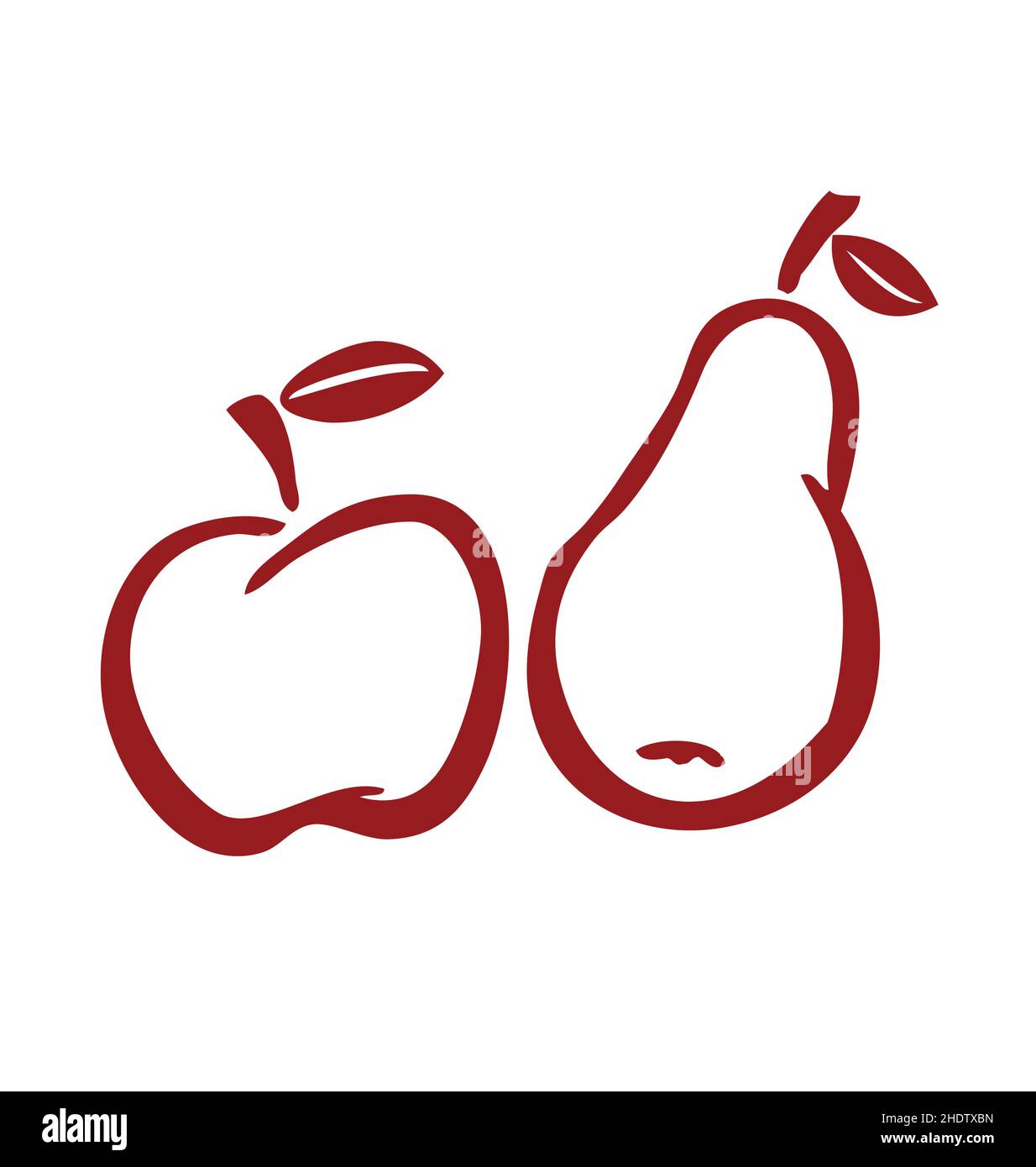 hand drawn inked painted stylized apple and pear illustration elements vector isolated on white
