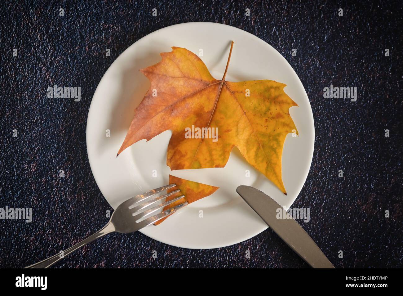 autumn, dieting, healthy food, fall, healthy, healthy diet, healthy eating, low fat Stock Photo