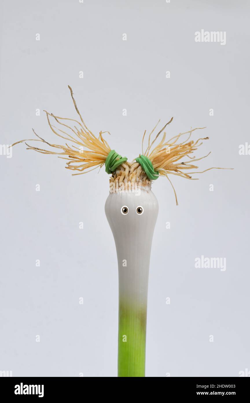 hairstyle, spring onion, humorous, hair, hairs, hairstyles, spring onions, humor Stock Photo