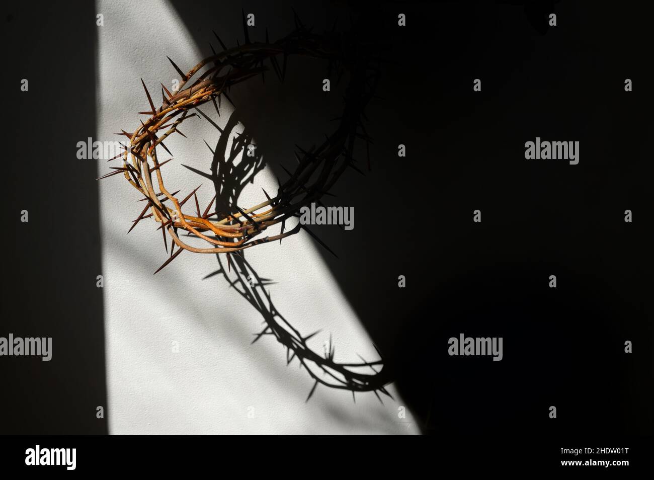 crown of thorns Stock Photo