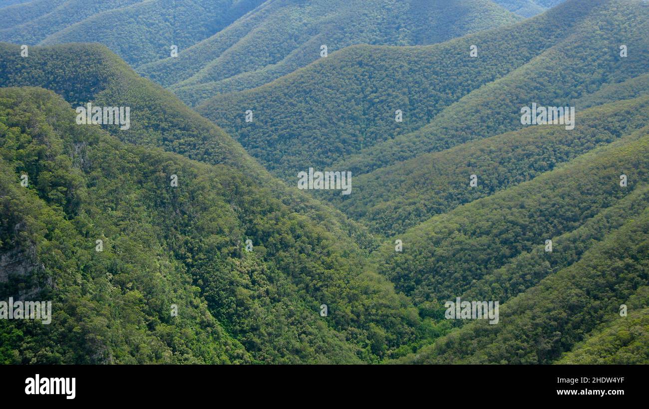 Rainforest Rural landscape, australia, rainforest, landscapes, rural, rural scene, scene ...