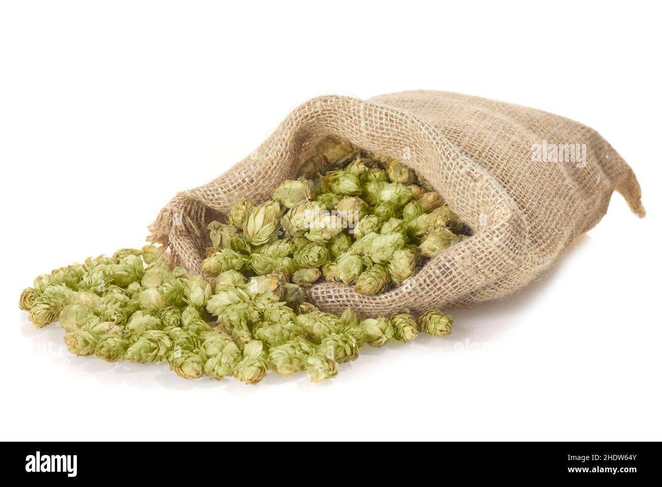 hop, hops Stock Photo