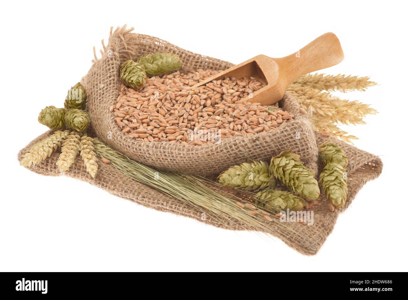 beer, ingredient, beers, ingredients Stock Photo Alamy