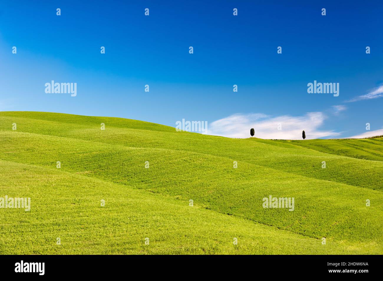 hill, tuscany, val d'orcia, hills, tuscanies Stock Photo