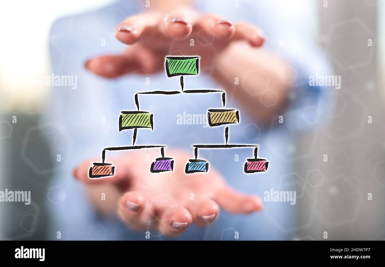 Organizational chart concept between hands of a woman in background ...
