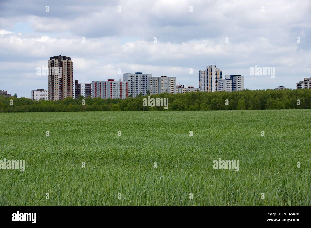 council house, social housing, large housing estate, council houses Stock Photo