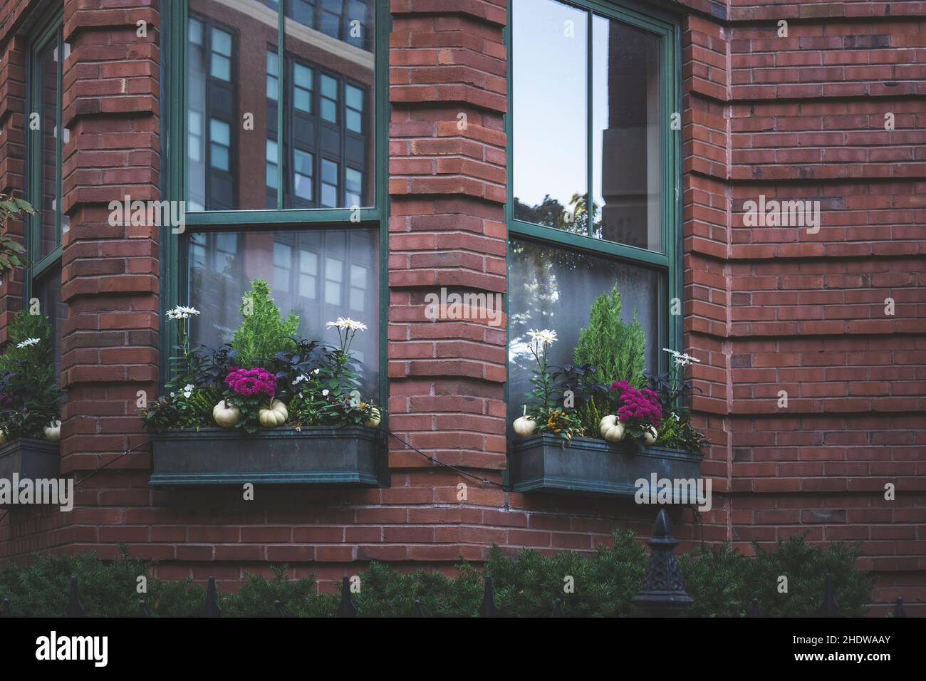 Big planters with various plants set against brick wall with windows