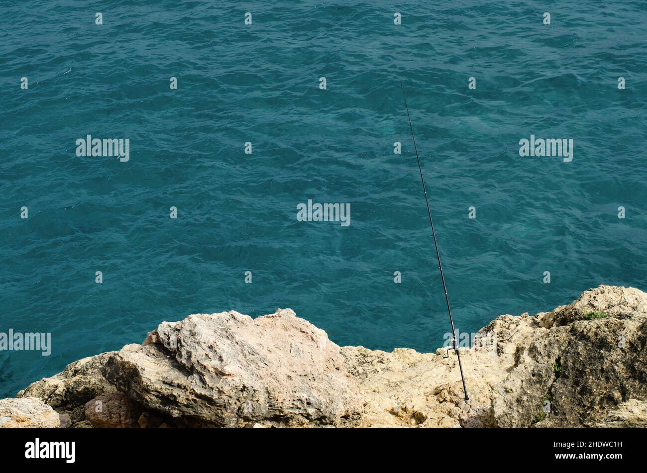 Sea fishing rod reel against hi-res stock photography and images - Alamy