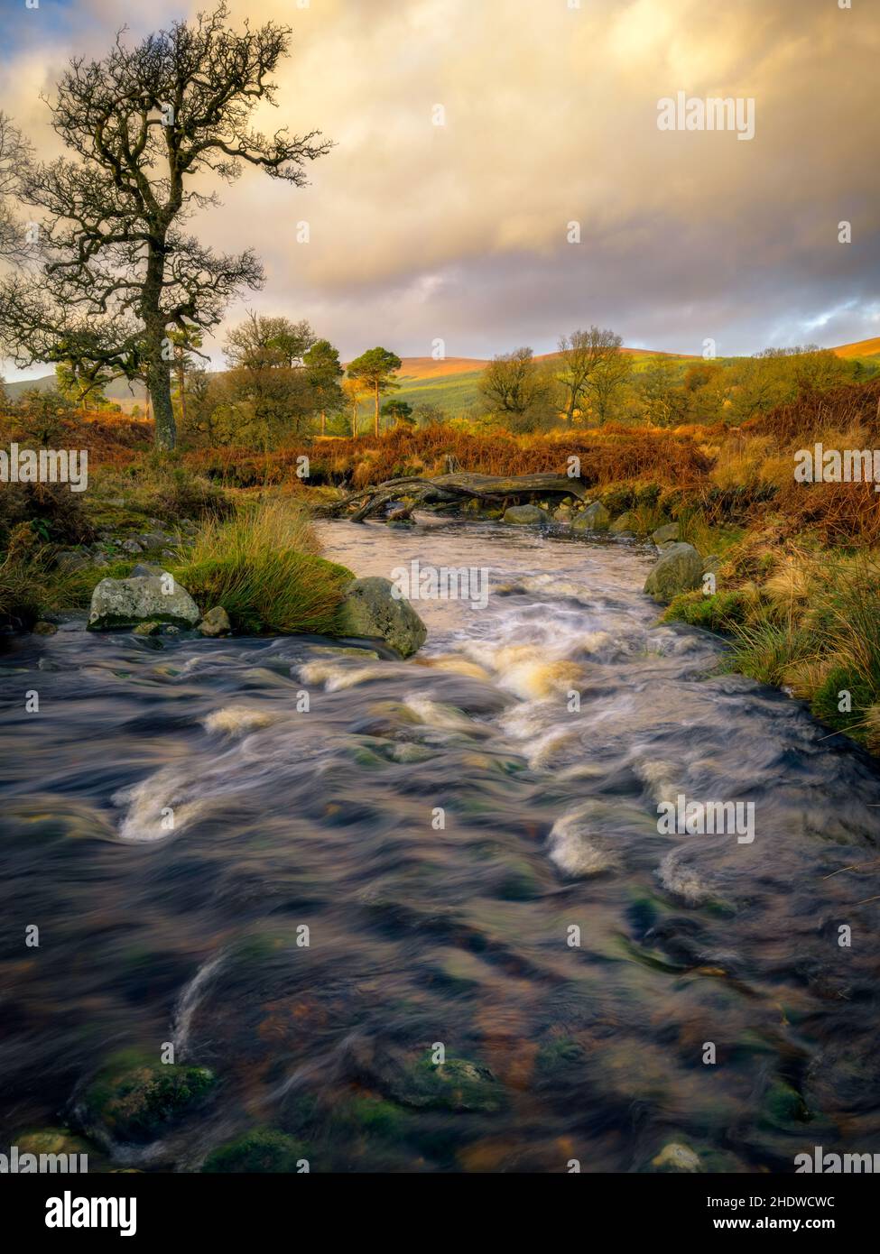 Landscape with river in the mountains, Ireland Stock Photo