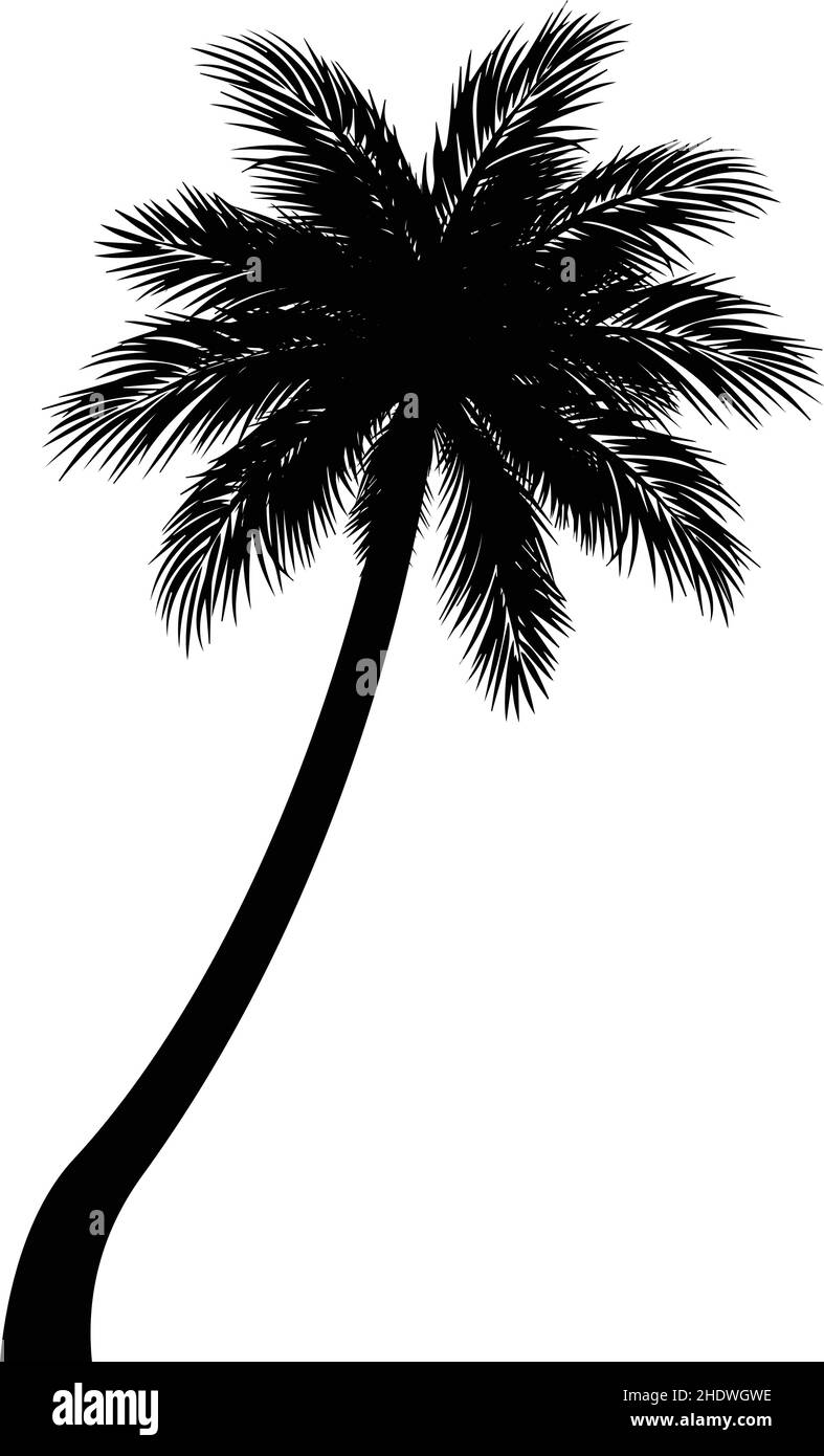 simple palm tree black silhouette vector isolated on white background ...