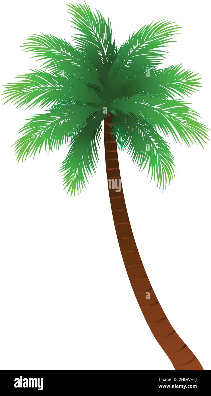 Bending palm tree Stock Vector Images - Alamy Bending palm tree Stock Vector Images - Alamy
