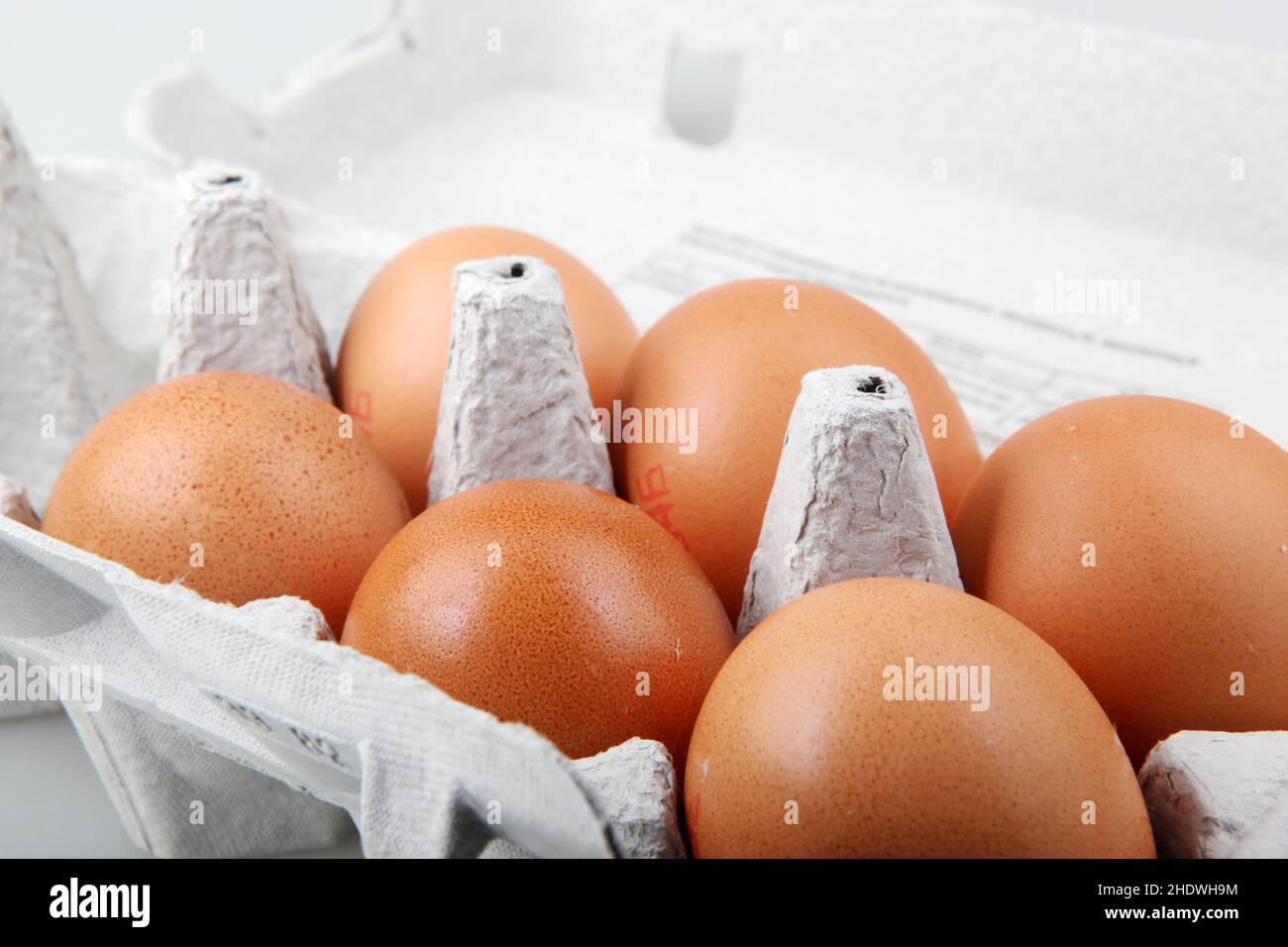 egg carton, eggs, egg cartons, egg Stock Photo Alamy