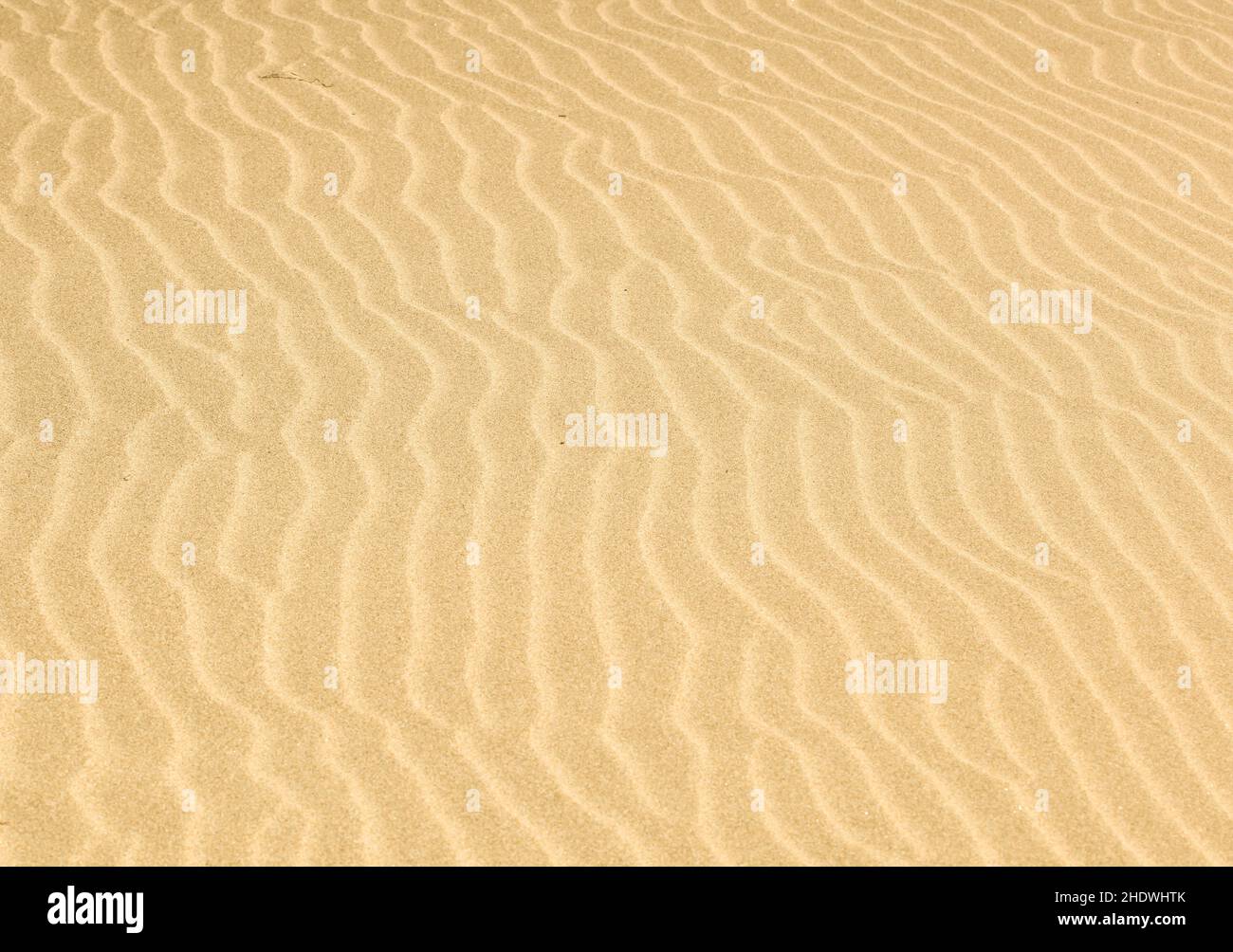 Wavy patterns nature hi-res stock photography and images - Alamy