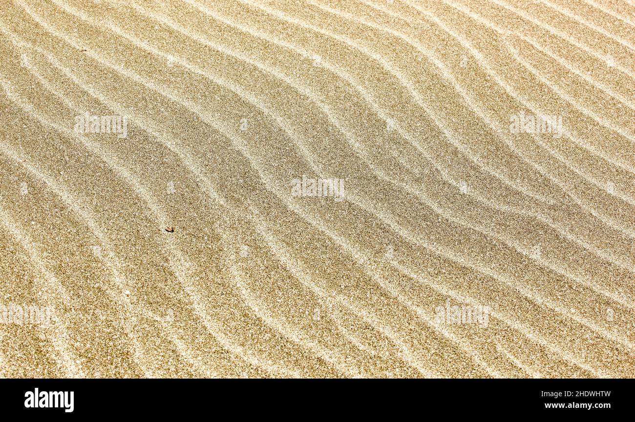 Sandy Ripple Sandies hi-res stock photography and images - Alamy