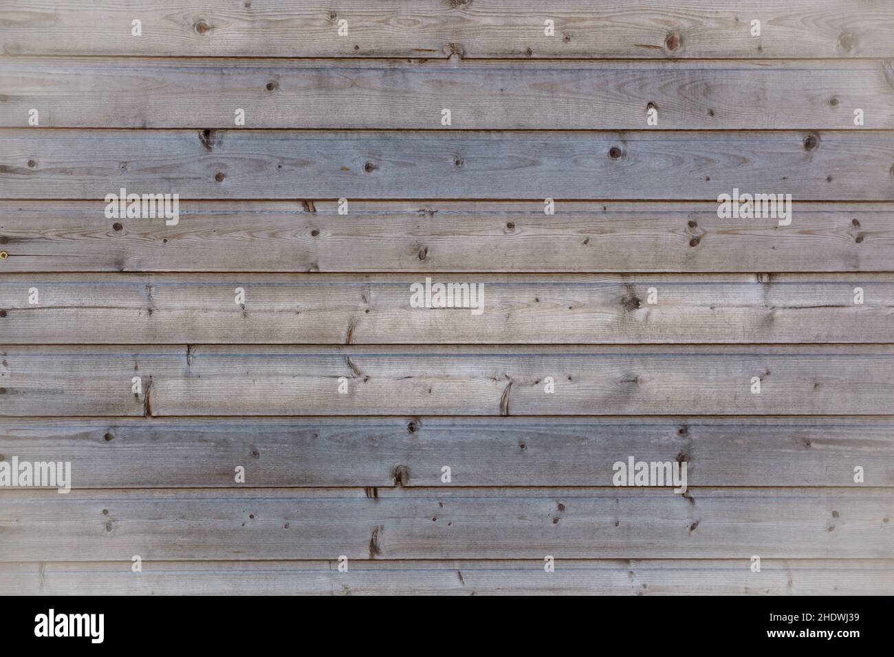 wood, wooden slats, wooden, woodland, woodlands, woods, wooden slat