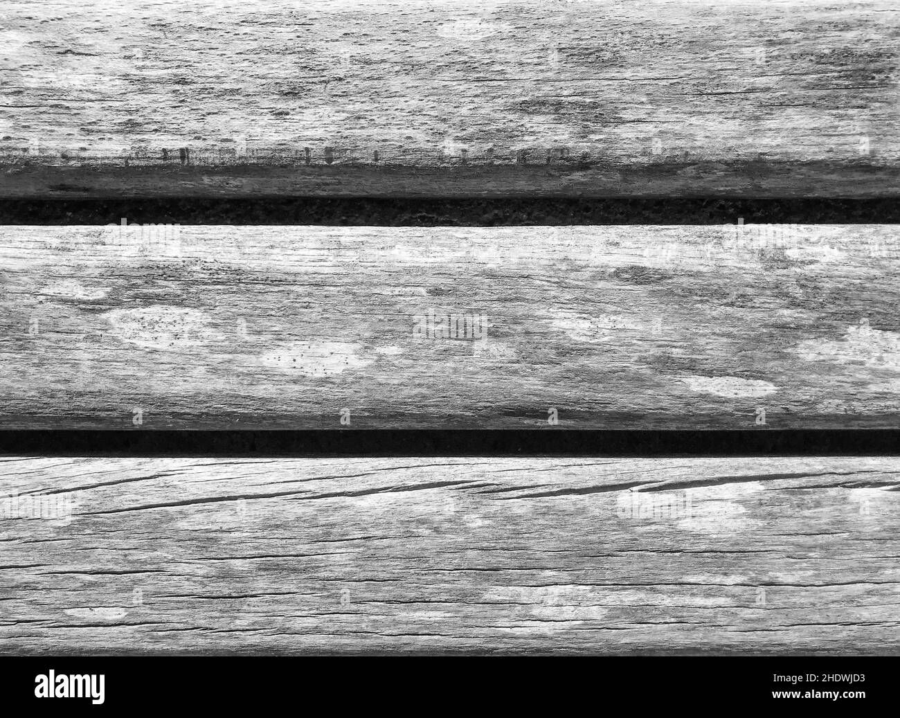 wood, wooden boards, wooden slats, woodland, woodlands, woods, wooden