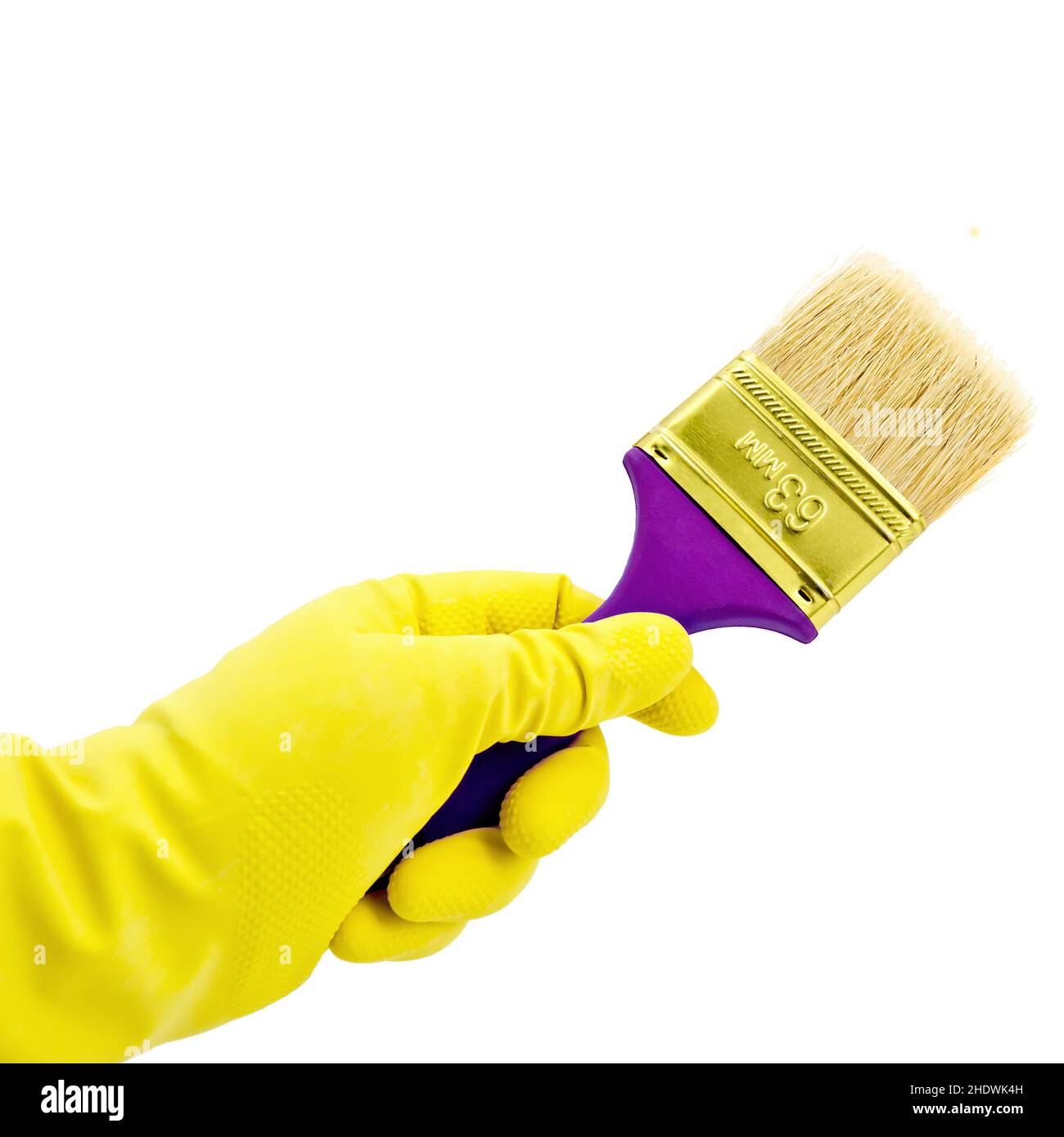 paintbrush, paint, paintbrushs, paints Stock Photo Alamy