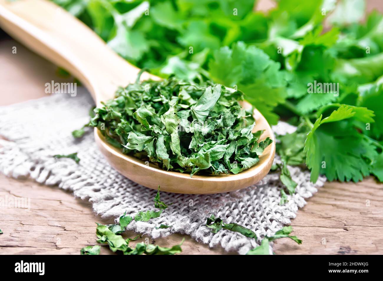 herb, cilantro, herbs, cilantros Stock Photo Alamy