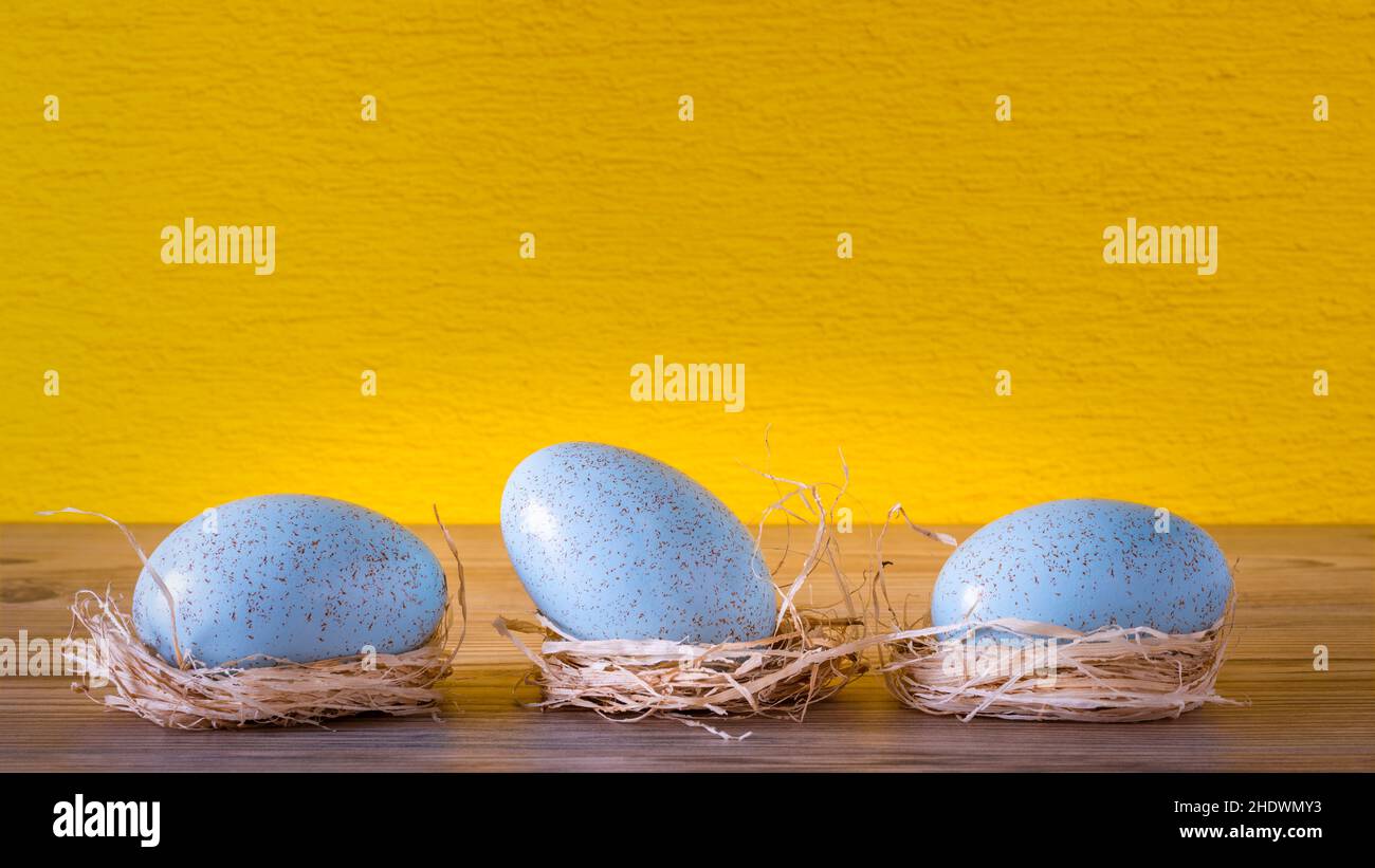 easter nest, easters Stock Photo