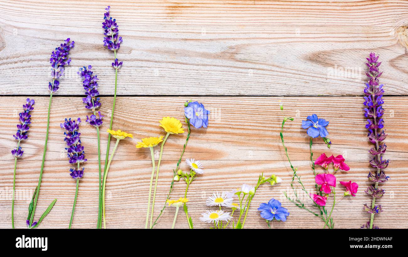 Spring Flowers Bouquet Wildflowers Spring Flower Bouquets 