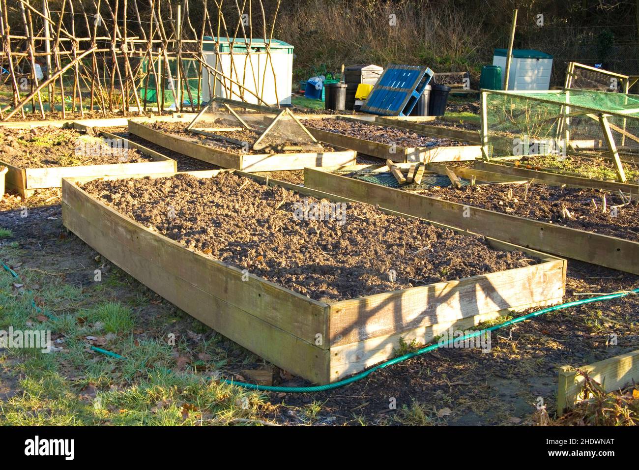 raised beds for growing vegetables on an allotment burgess hill Stock Photo