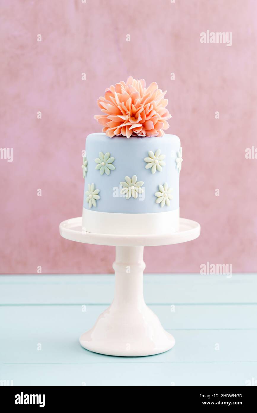 cake, pastel colors, pie, cakes, pastel color, pies Stock Photo Alamy