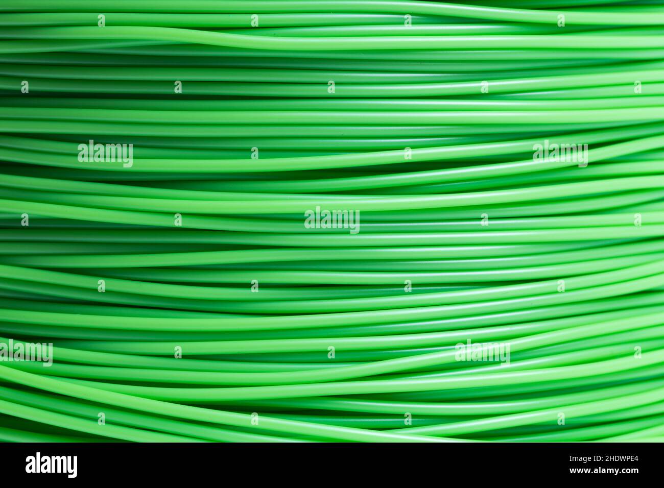 filament, filaments Stock Photo
