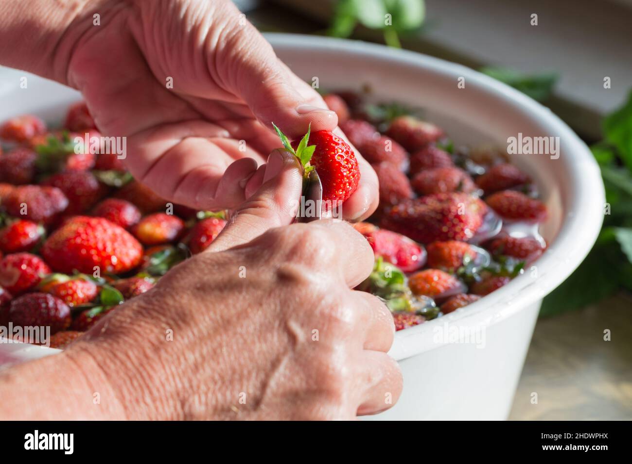 preserving, washing dishes, cooking jam, wash, washing, cooking jams