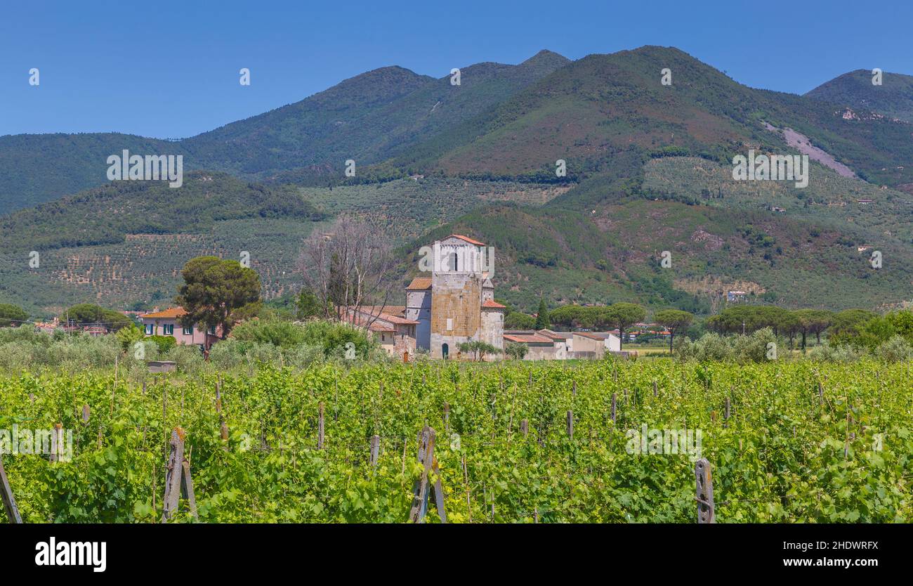 tuscany, country estate  , winery, tuscanies, country estate  s, wineries Stock Photo