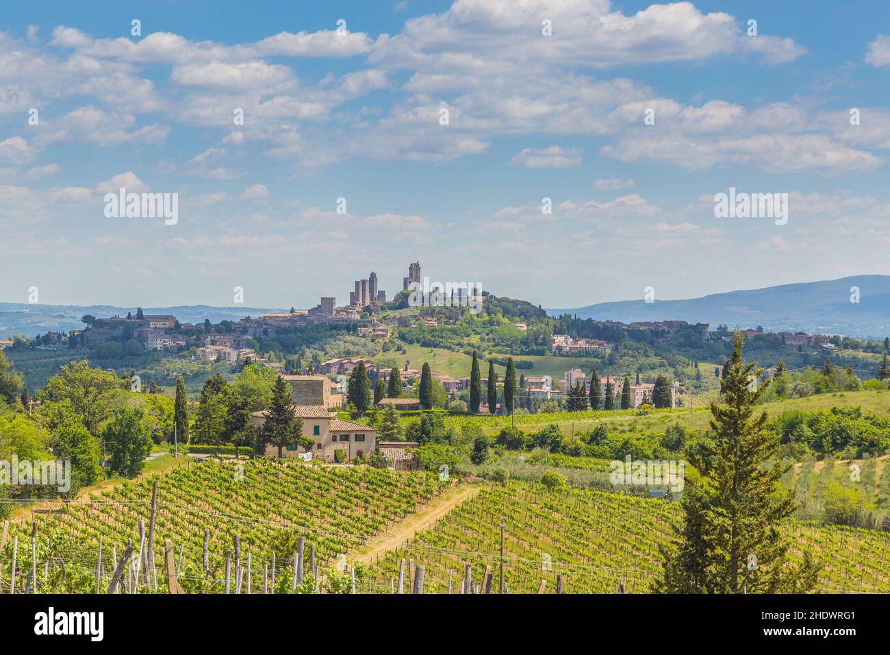 tuscany, winery, san gimignano, tuscanies, wineries, san gimignanos Stock Photo